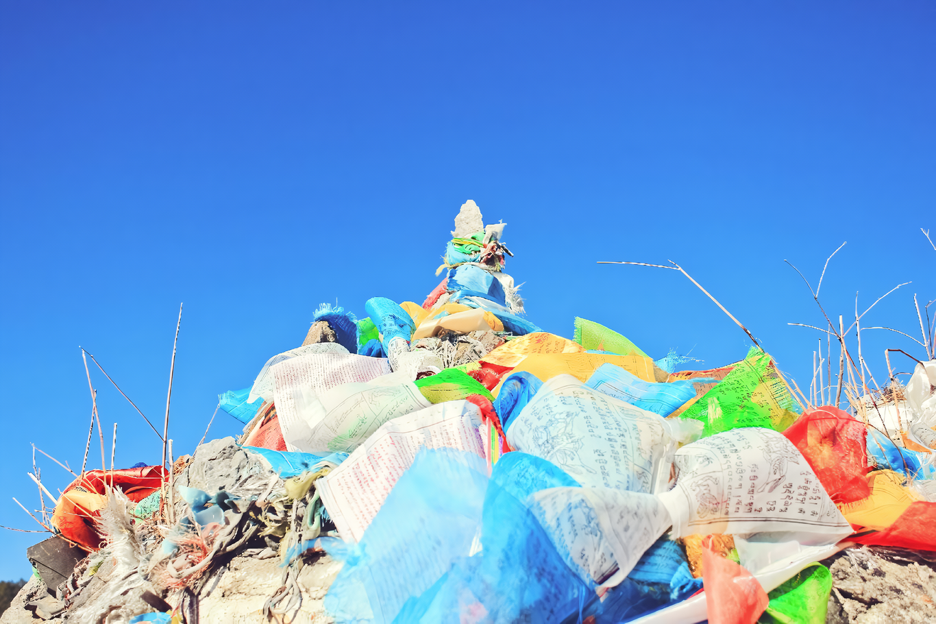 Alarmantes Cifras de Residuos Plásticos en la Capital: La Sombra del Comercio Electrónico