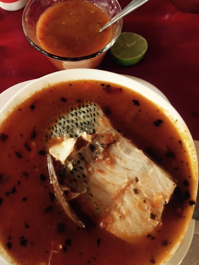 Descubre el sabor de Guanajuato en un plato: el caldo de carpa de Manuel Doblado